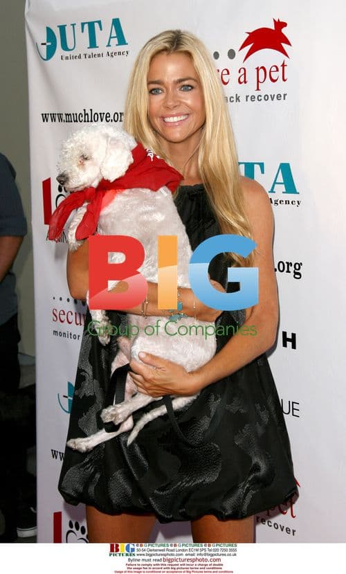 Denise Richards at Much Love Animal Rescue event