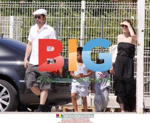 Brad Pitt and Angelina Jolie Visit Pet Shop in France