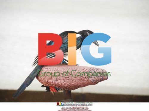 Citizen has wild magpie as pet in China