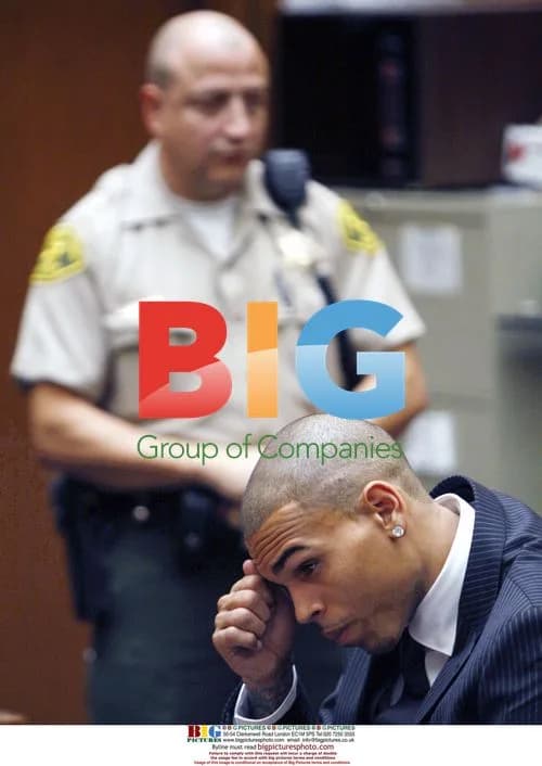 Chris Brown Receives Probation for Assault