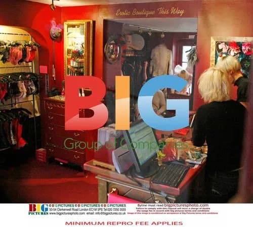 Katie Price and Alex Reid visit sex shop