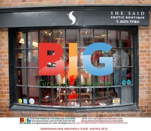 Katie Price and Alex Reid Visit Sex Shop