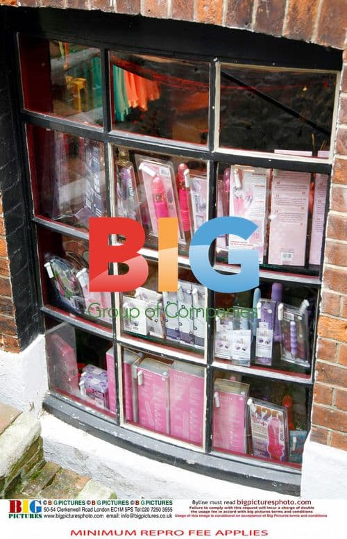 Katie Price and Alex Reid visit sex shop