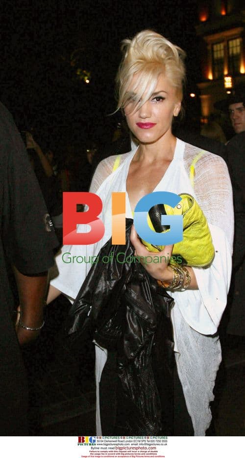 Gwen Stefani Watches Gavin Rossdale Perform