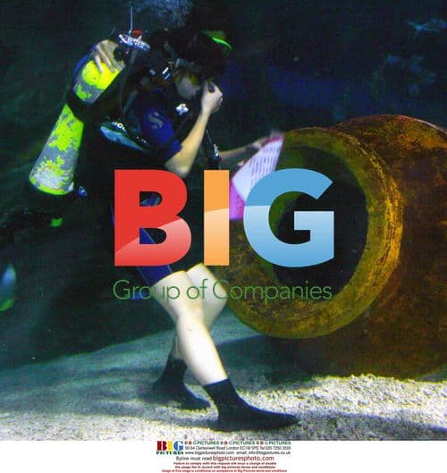 Underwater proposal at double seventh festival