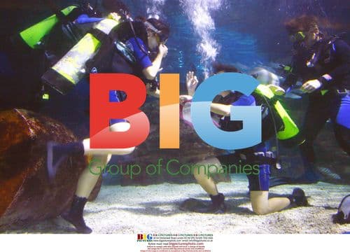 Man proposes underwater at festival