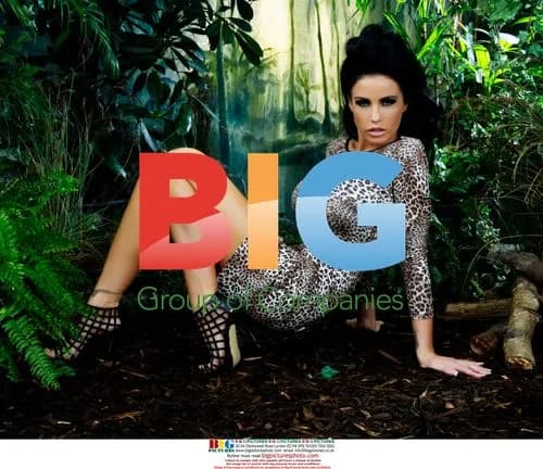 Katie Price in Leopard Print Dress