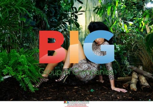 Katie Price in Leopard Dress