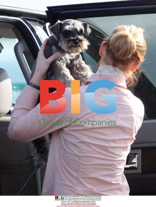 Katherine Heigl and Josh Kelley Depart LA