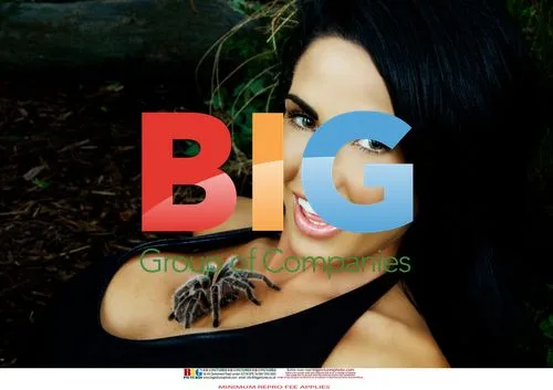 Katie Price poses with spider