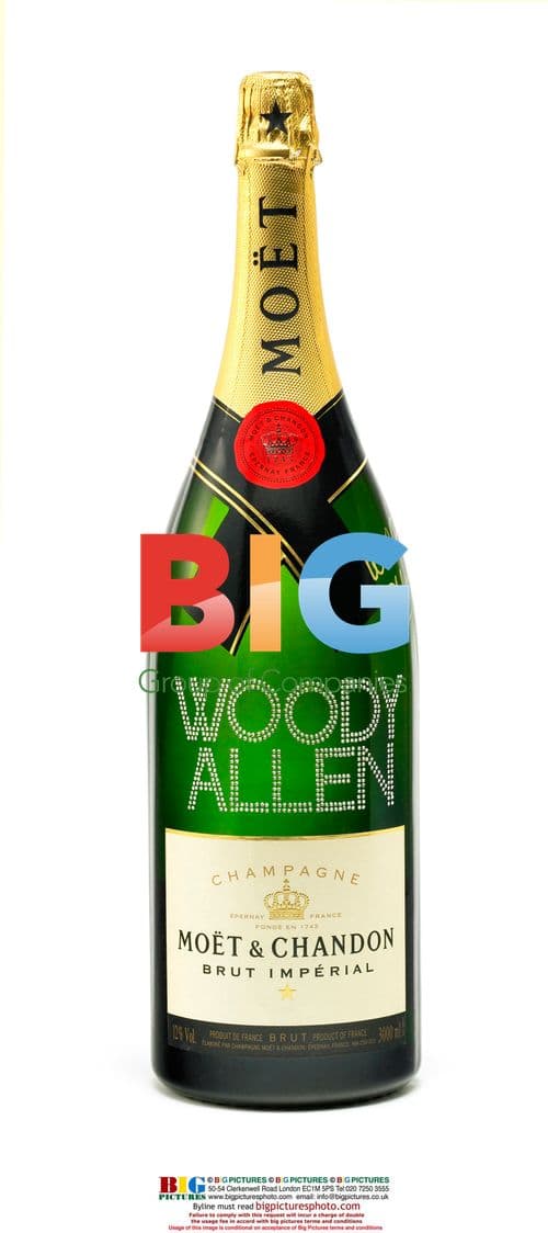 Moet & Chandon Celebrity Charity Auction