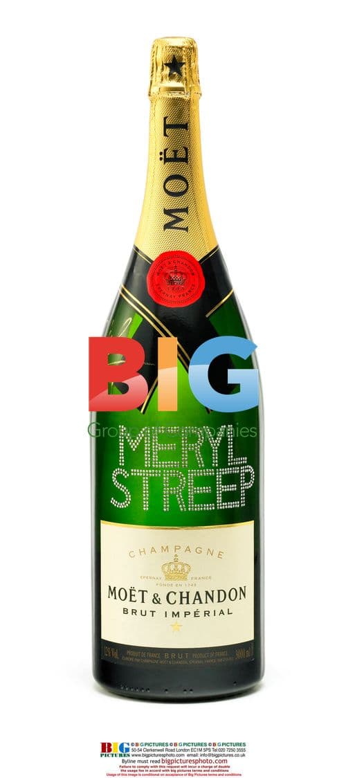 Moet & Chandon Charity Auction