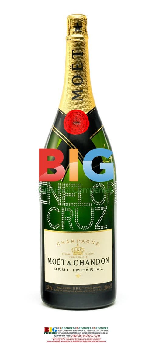 Moet & Chandon Charity Auction