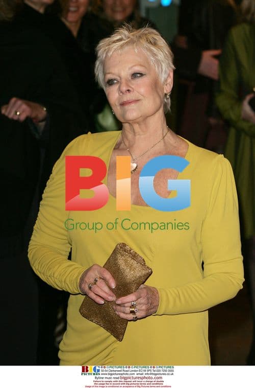 Judy Dench at 'Nine' Premiere
