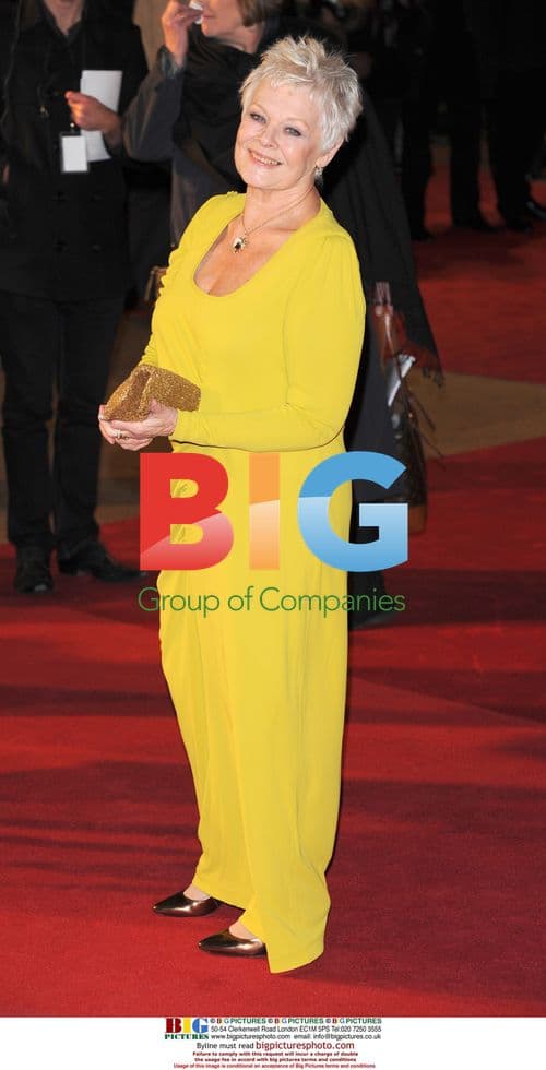 Judy Dench at 'Nine' Premiere