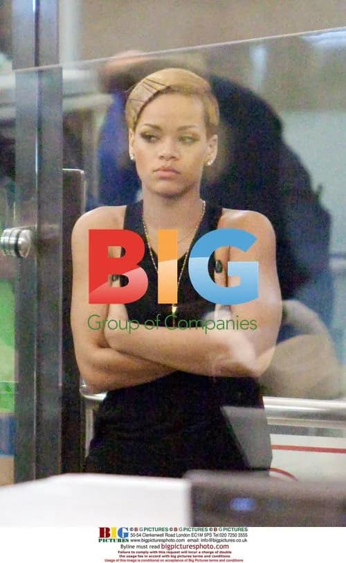 Rihanna Receives Body Search at LAX