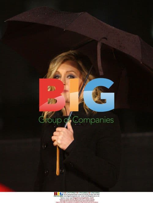 2009 Rockefeller Center Tree Lighting Ceremony