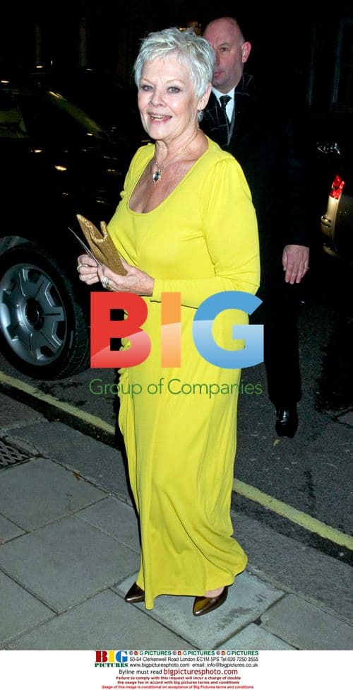 Dame Judy Dench at Nine world premiere party