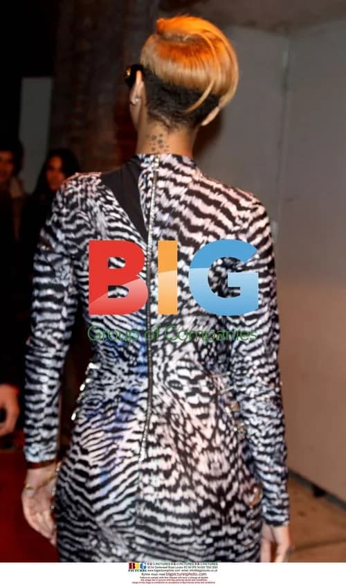 Rihanna at record release party in NYC