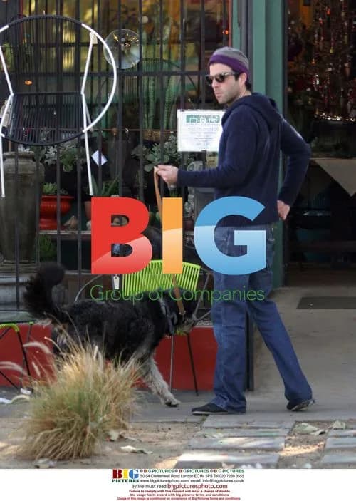 Zachary Quinto and dog shopping for rug
