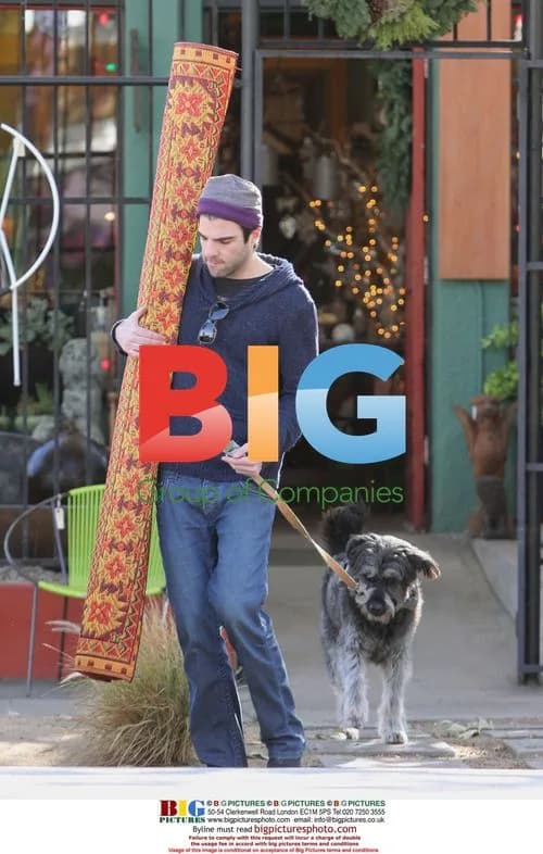 Zachary Quinto shops for rug with dog