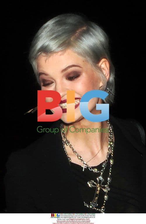 Pixie Geldof at British Fashion Awards 2009