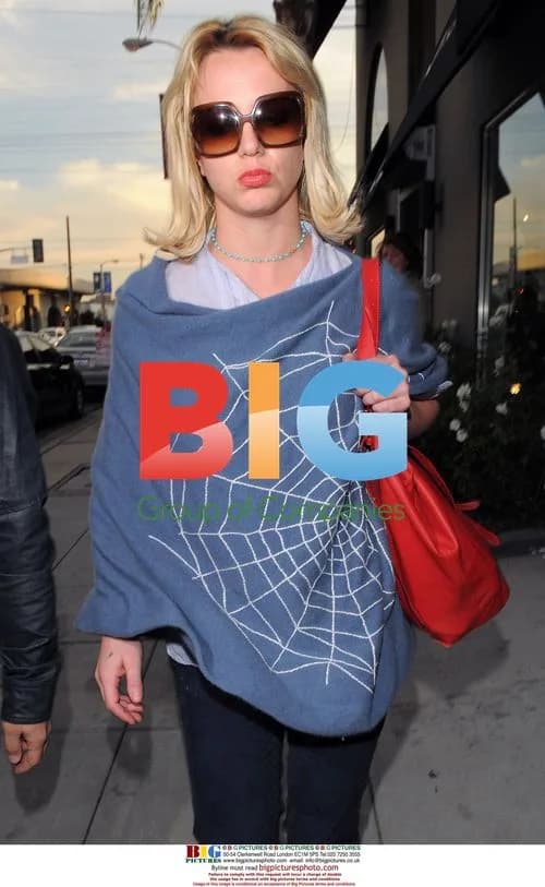 Britney Spears Shopping on Robertson Blvd