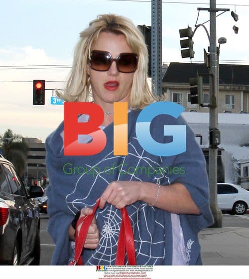 Britney Spears shopping in LA
