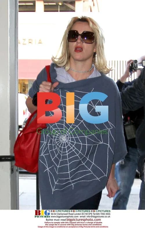 Britney Spears Shopping in LA