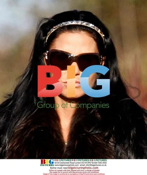 Katie Price and friend Andrew Gould out for lunch