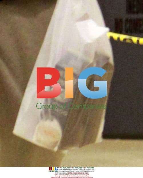 Kevin Federline Grocery Shopping