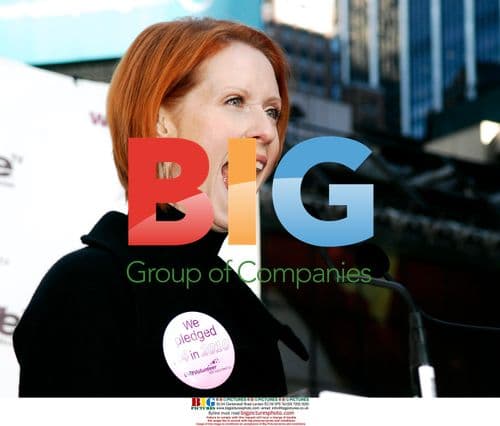 Cynthia Nixon at WE TV Volunteerism Campaign