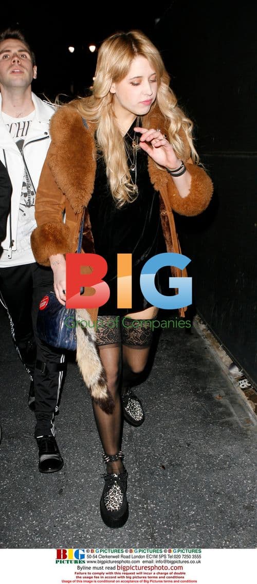 Peaches Geldof spotted in Los Angeles