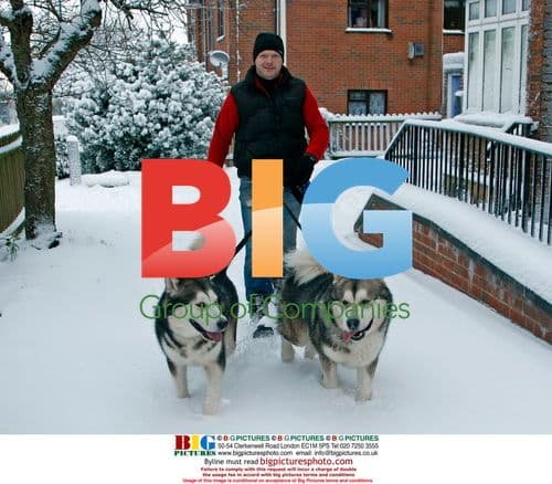 Winter creatures in Kent, UK