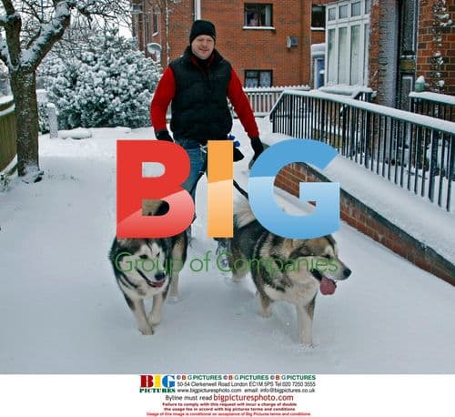 Winter Creatures in Kent