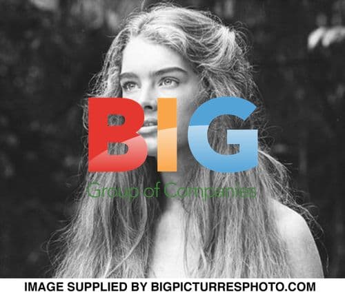 Celebrities at Charity Gala Event