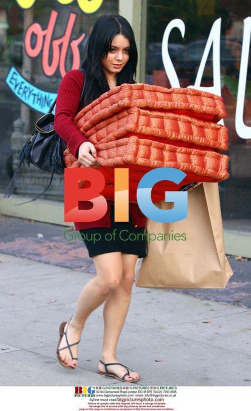 Vanessa Hudgens Furniture Shopping