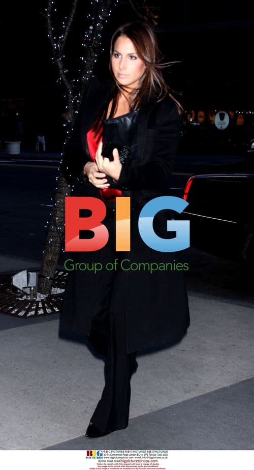 Ashley Dupre at PIX 11 News