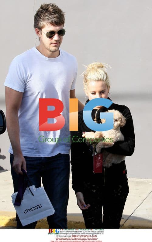 Ashley Tisdale shops in Studio City