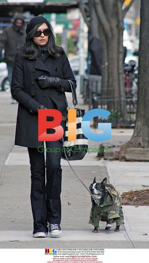 Famke Janssen walks dog in NYC