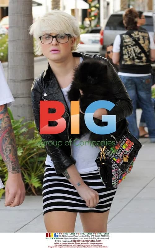 Kelly Osbourne Goes Christmas Shopping with Dog