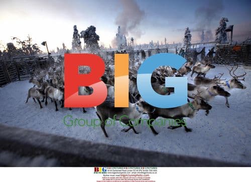 Laplanders and Reindeers in Northern Sweden