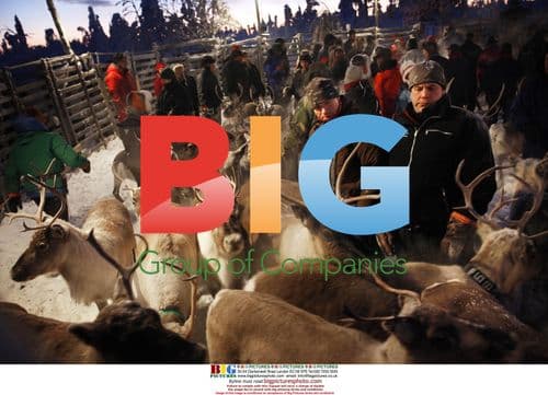 Laplanders and reindeers in northern Sweden