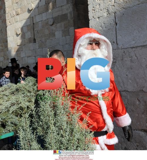 Santa Distributes Christmas Trees in Jerusalem