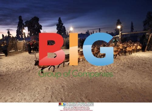 Laplanders and reindeers in northern Sweden