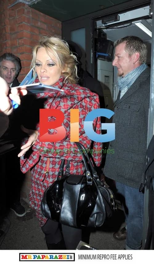 Pamela Anderson Leaves Aladdin Panto Performance