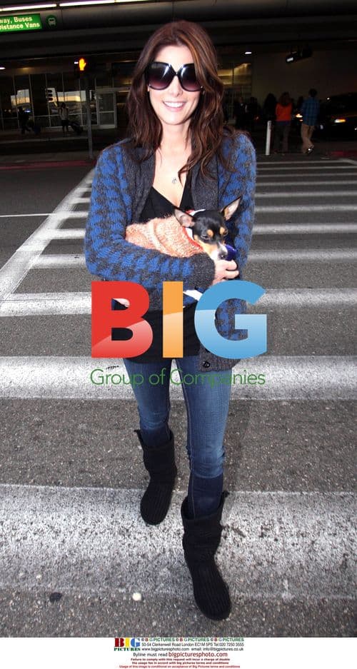 Ashley Greene Leaves LAX