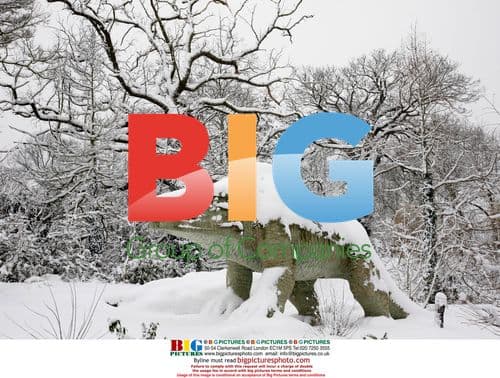 Snow causes chaos in London