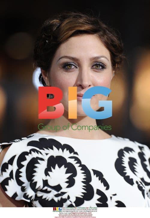 Sasha Alexander at "He's Just Not That Into You" Premiere