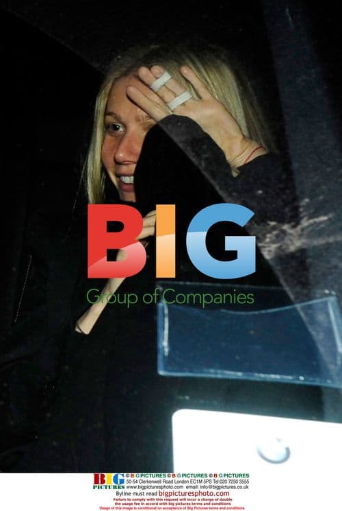 Gwyneth and Chris Enjoy Night Out